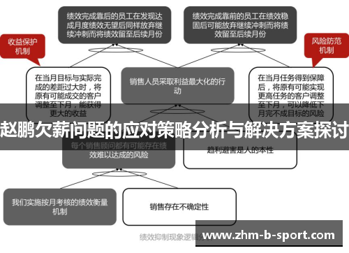 赵鹏欠薪问题的应对策略分析与解决方案探讨