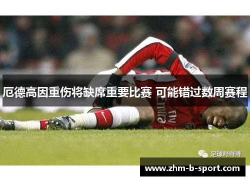 厄德高因重伤将缺席重要比赛 可能错过数周赛程