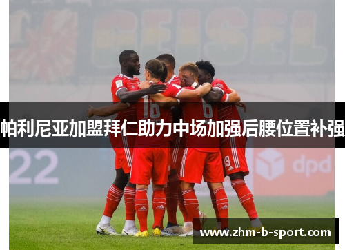 帕利尼亚加盟拜仁助力中场加强后腰位置补强